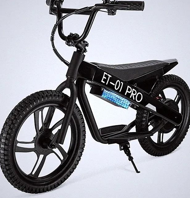 Brand new electric bicycle.