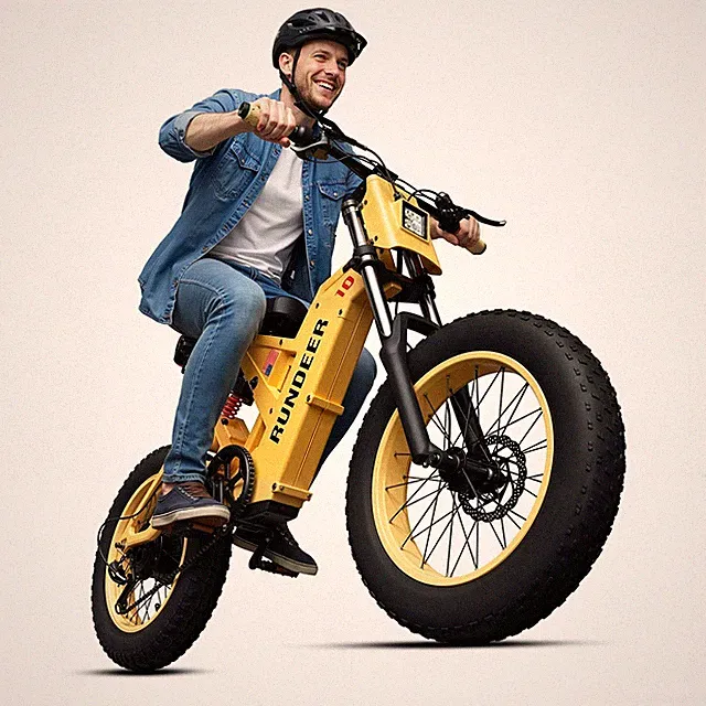 Sample Electric Bike, Original $1999.99 Now Only $599.99, Local Pickup Only